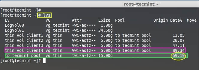 Verify Thin Storage