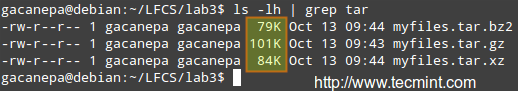 Compress Multiple Files Using tar