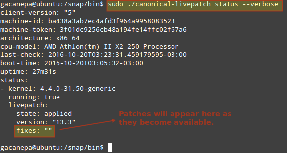 Check Livepatch Status in Ubuntu