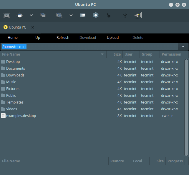 Remmina Remote sFTP Filesystem