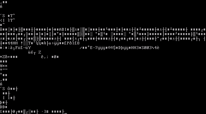 Fig.01：Bash fix the display