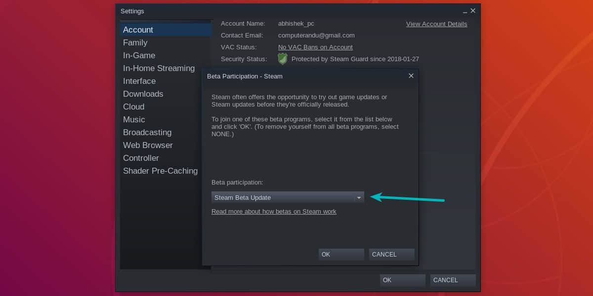 Enable beta feature in Steam Linux