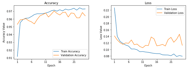 Learning curves for fine-tuned pre-trained CNN