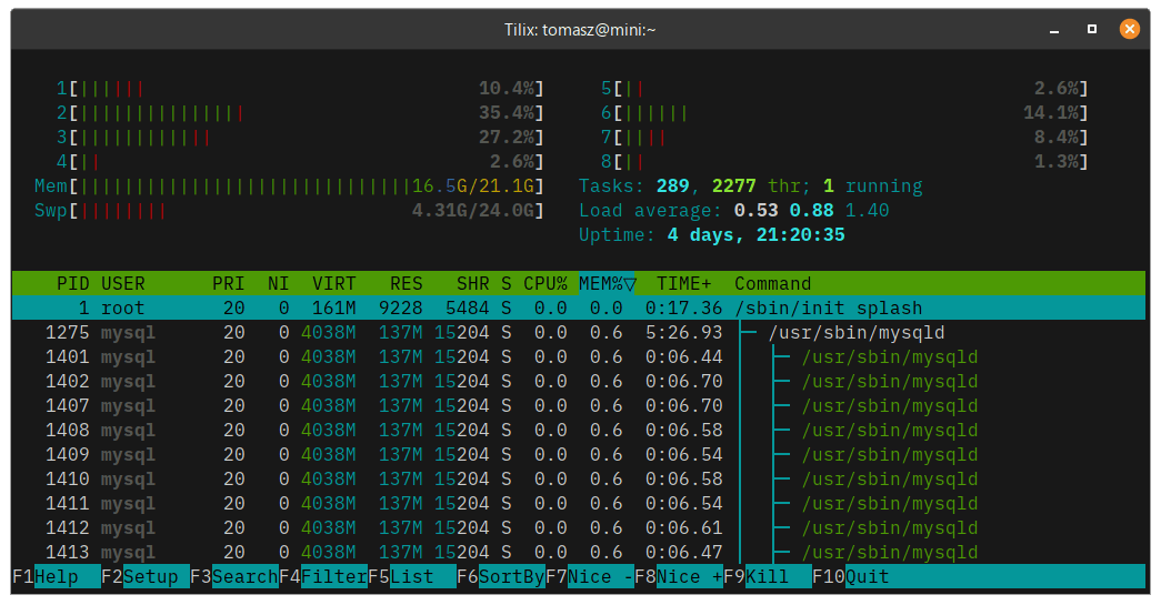 Memory usage using htop