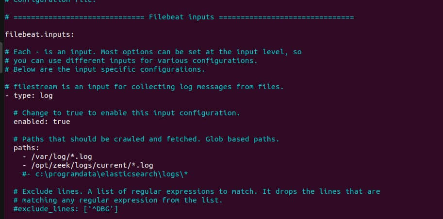 Figure 1: Filebeat config (a)