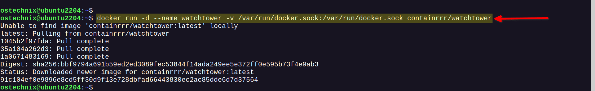 Run Watchtower Docker Container